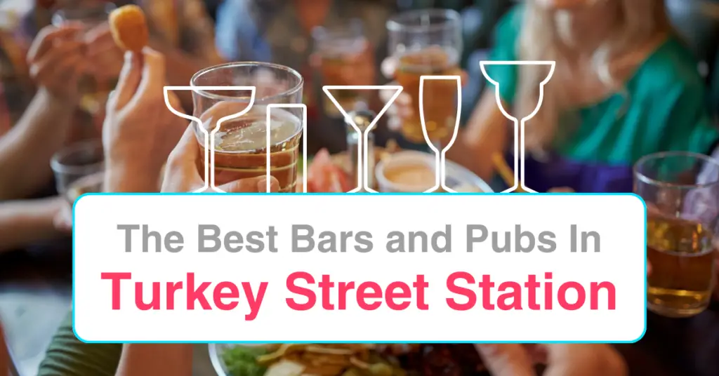 The Best Bars and Pubs Near Turkey Street Station