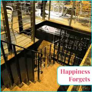 Happiness Forgets